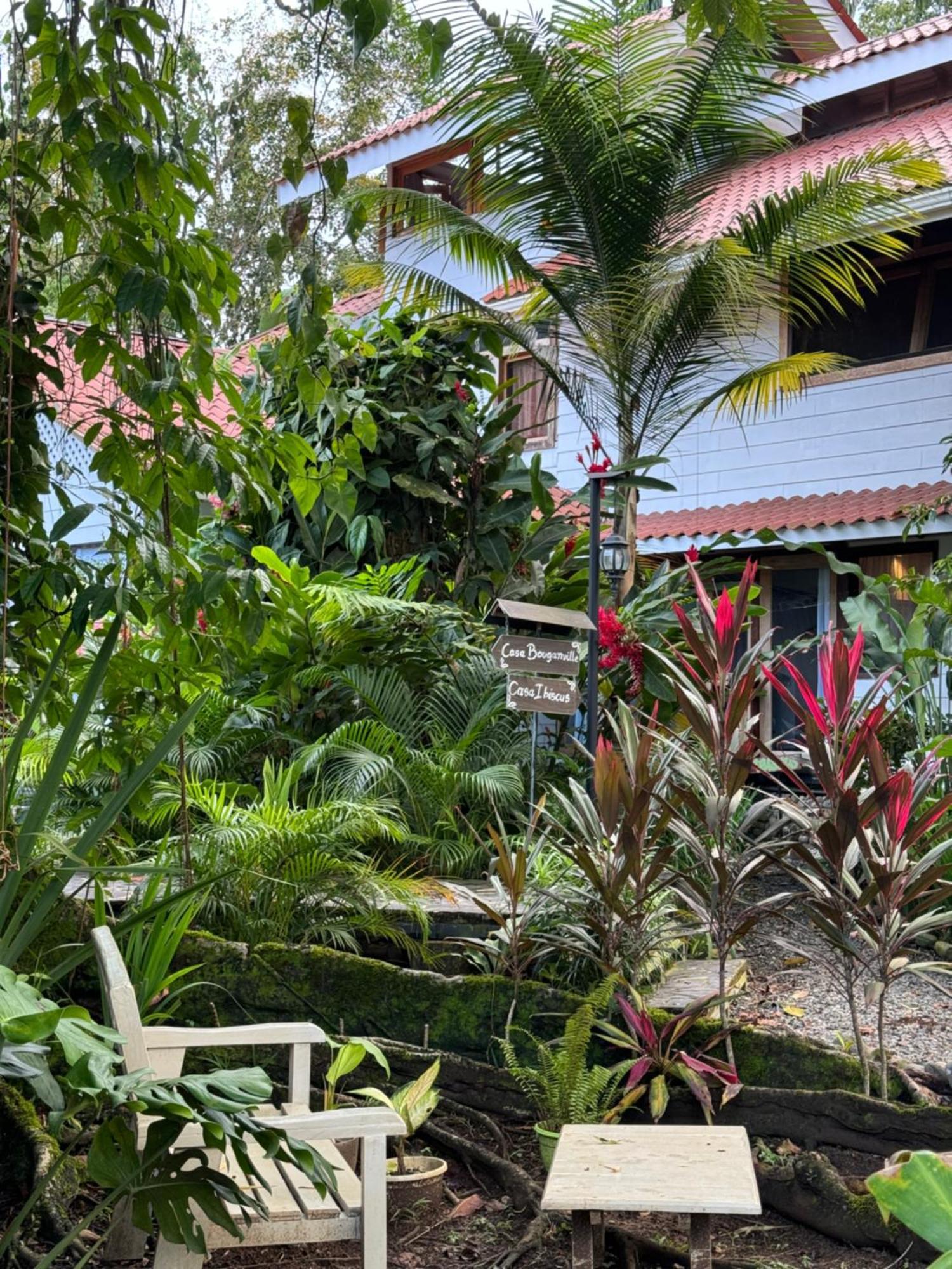 Chilamate Holiday House Puerto Viejo de Talamanca Εξωτερικό φωτογραφία