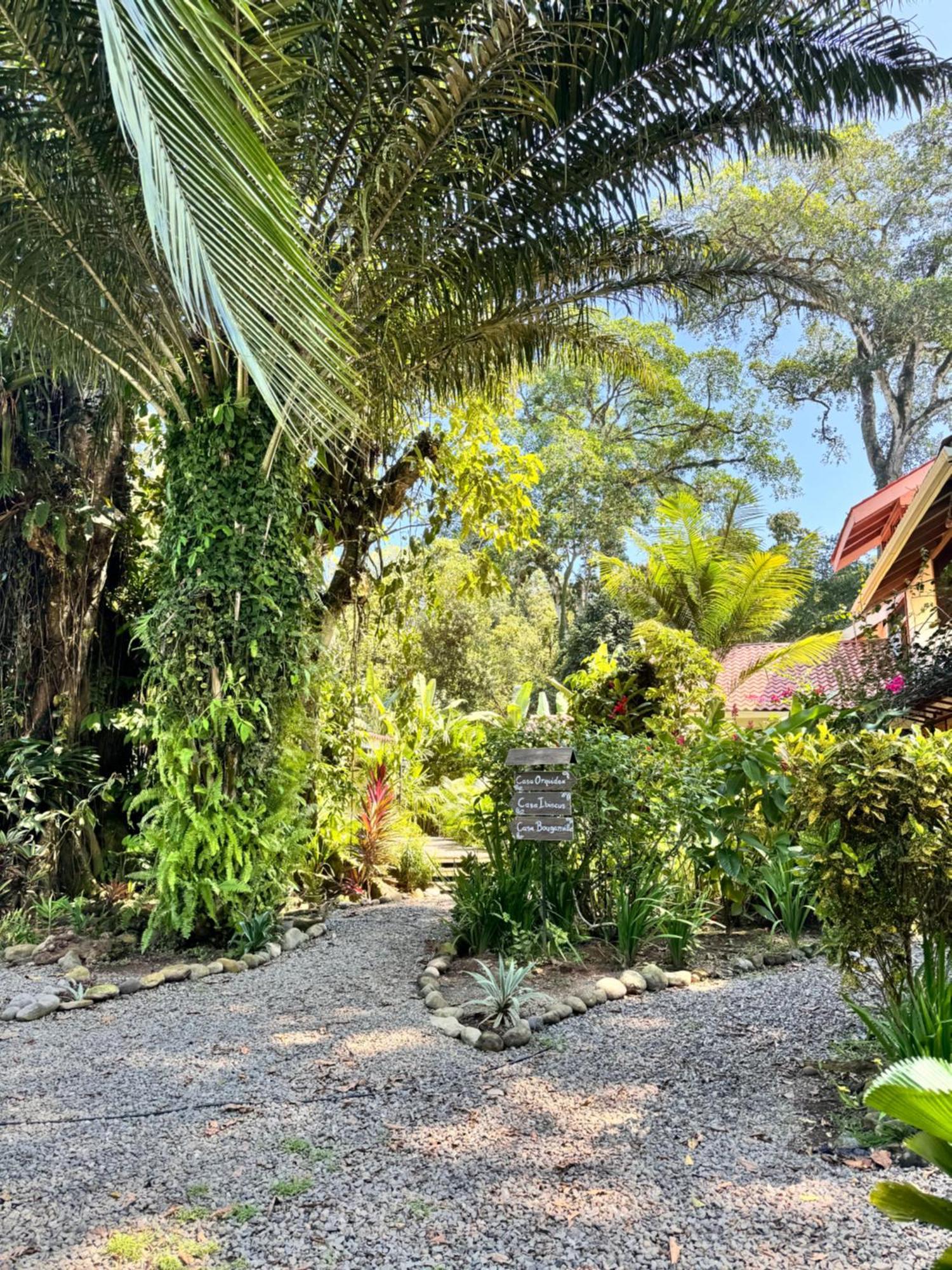 Chilamate Holiday House Puerto Viejo de Talamanca Εξωτερικό φωτογραφία